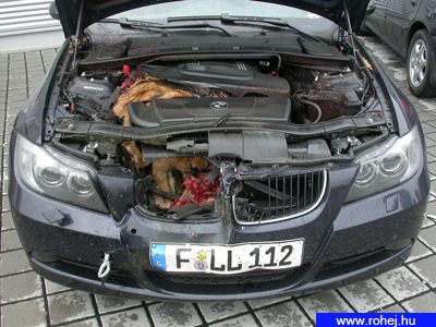 bmw_roka.jpg